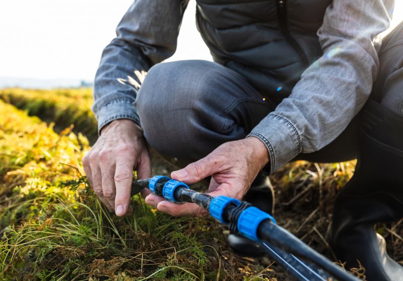 Repaired Pump System